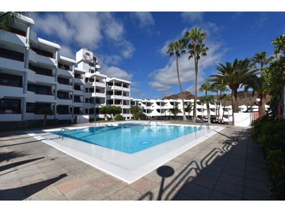 Acogedor apartamento en zona tranquila se alquila en Playa del Cura.
