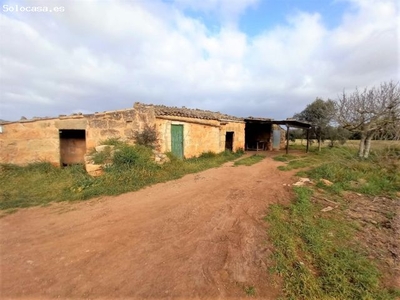 Finca rústica con posibilidad de edificar en Llubi