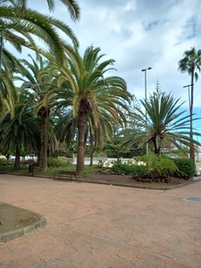 Local Comercial en venta en Schamann - Rehoyas, Las Palmas de Gran Canaria, Gran Canaria