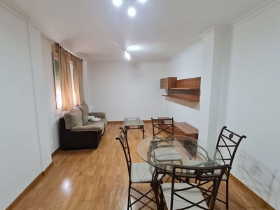 Piso en alquiler en calle Vazquez Coronado de 1 habitación con terraza y garaje