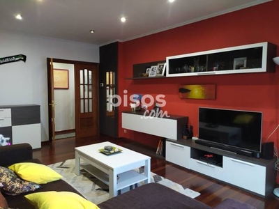 Piso en venta en Calle Pintor Sotomaior