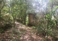 Masía masia en ruinas en Sant Feliu de Buixalleu