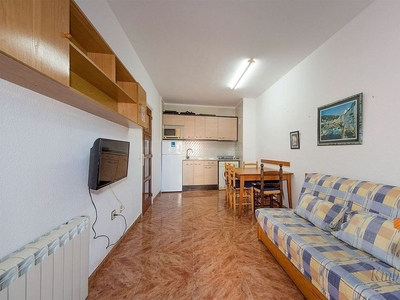 Alquiler de piso en Santa Margarida de 1 habitación con terraza y muebles
