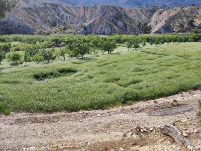 Parcela en venta en Jijona