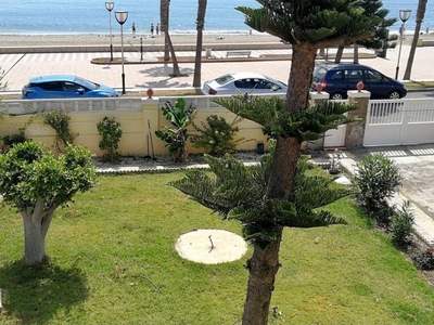 Alquiler Chalet en Jose Ojeda 91 Roquetas de Mar. Buen estado plaza de aparcamiento con balcón 793 m²