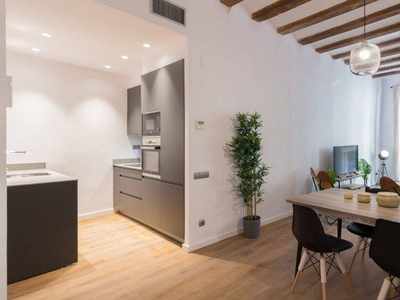 Alquiler Piso Barcelona. Piso de una habitación en Carrer de Ferran. Con terraza