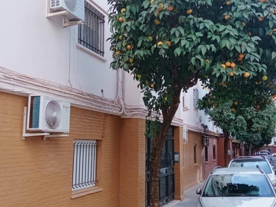 Alquiler Piso Sevilla. Piso de cuatro habitaciones Con terraza