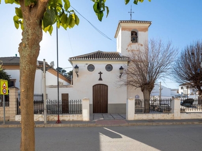 Venta Casa unifamiliar en parra (tra) Pinos Puente. Con balcón 372 m²