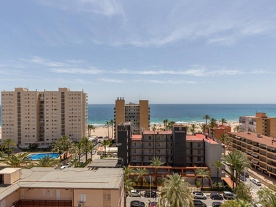 Venta Piso Benidorm. Piso de dos habitaciones Novena planta con terraza