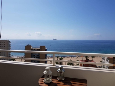 Venta Piso Benidorm. Piso de una habitación 13 con terraza