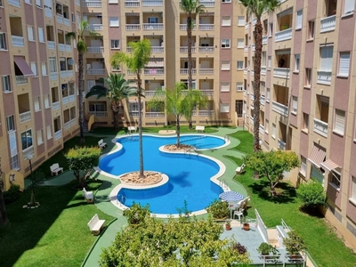 Venta Piso Torrevieja. Piso de una habitación en Calle de José Romero Hurtado 'El Felisia' 12. Primera planta con terraza