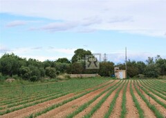 Masía en carrer misericòrdia masia a semireformar con 2.80ha de terreno agricola llano – | tarragona en Reus
