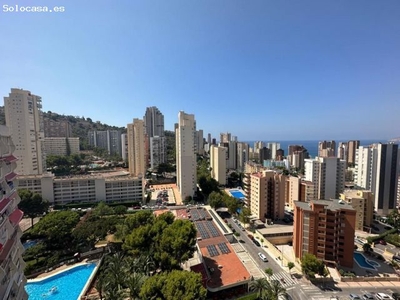 Estudio en Alquiler en Benidorm, Alicante