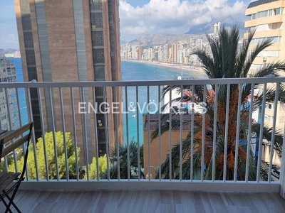 Alquiler de piso en avenida Alcalde Manuel Catalan Chana de 1 habitación con terraza y piscina