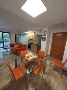 Alquiler de piso en calle Metge Joan Bauzà Mestre de 1 habitación con terraza y muebles