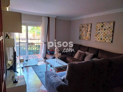 Piso en venta en Calle Roberto Olid