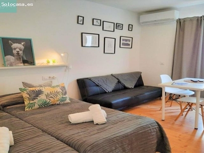 Se alquila estudio para temporada hasta Noviembre en Port dAlcudia. Planta Baja. 950€/mes