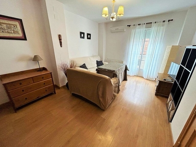 Alquiler de piso en Pardaleras de 2 habitaciones con muebles y balcón