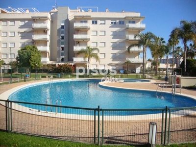 Apartamento en alquiler en Avenida de Jaime I, 8