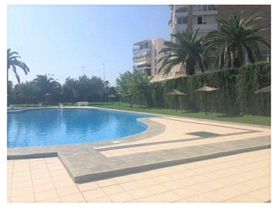 Apartment to rent in La Albufereta, Alicante -