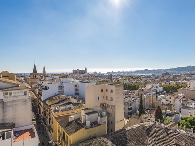 Estiloso apartamento con terraza privada y vistas bonitas en el corazón de Palma de Mallorca - Casco Antiguo