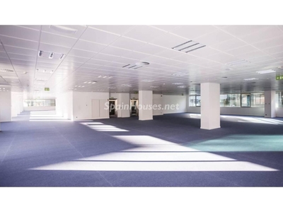 Office to rent in Madrid -