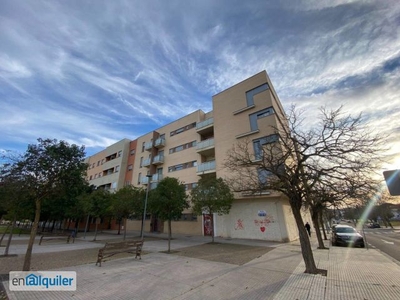 Piso de alquiler en Calle Enrique Sanchez de Leo, Carretera de Sevilla - Los Montitos