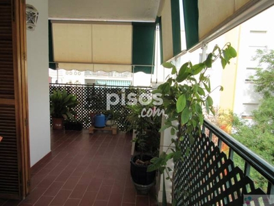 Piso en venta en San Pedro Centro Pueblo