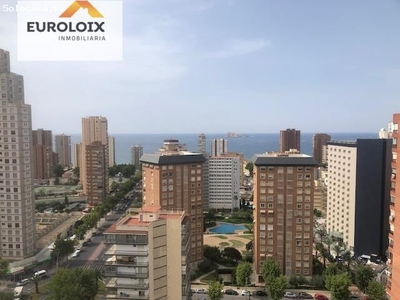 Amplio apartamento de 2 dorm en Av Europa , Benidorm. Temporadas vacacionales .www.euroloix.com