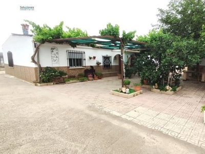 Casa con terreno en Albacete