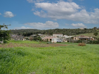 Finca en venta en Zona Calvario, Estepona