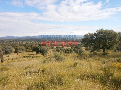 Casa de campo-Masía en Venta en Malpartida De Plasencia Cáceres Ref: 51149