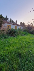 Finca agrícola con casa terrera antigua Venta Garafia
