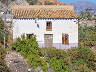 Finca/Casa Rural en venta en Almanzora, Cantoria, Almería