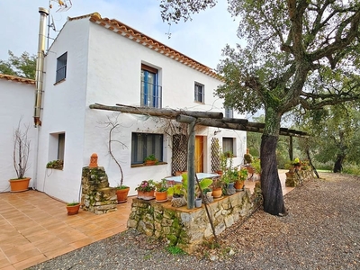 Finca/Casa Rural en venta en Santa Ana la Real, Huelva