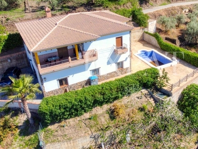 Finca/Casa Rural en venta en Sayalonga, Málaga