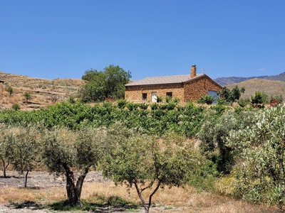 Finca/Casa Rural en venta en Senés, Almería