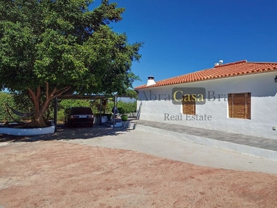 Finca/Casa Rural en venta en Vélez-Málaga, Málaga