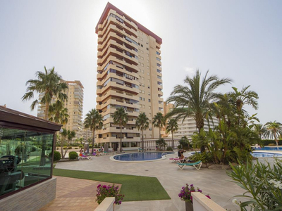 Alquiler de piso con piscina y terraza en Calpe (Calp), Calpe