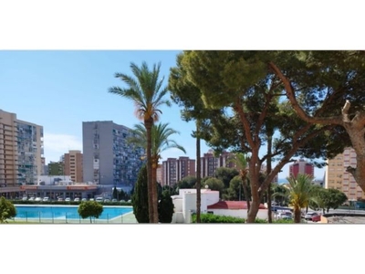 Estudio en Venta en Benidorm, Alicante