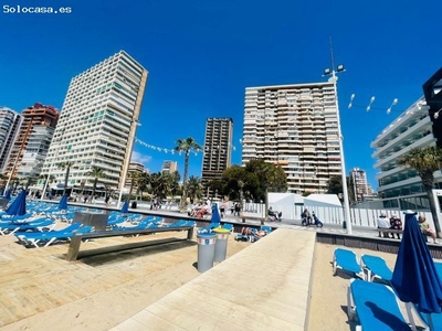 ESTUDIO 1ª LINEA DE PLAYA DE LEVANTE, BENIDORM (ALICANTE)