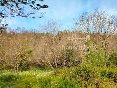 Finca/Casa Rural en venta en Ortigueira, A Coruña