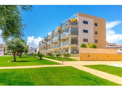 ¡Fantástico apartamento en planta baja de 2 dormitorios y amplia terraza en Villamartin!
