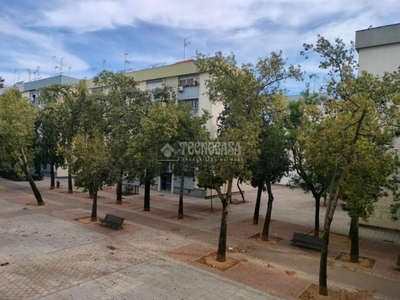 Venta Piso Sevilla. Piso de tres habitaciones en Martirio de san Andrés 1. Planta baja con terraza