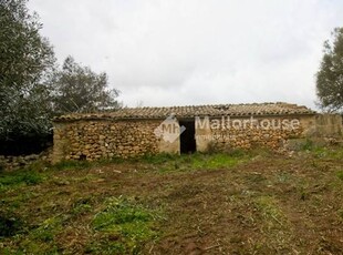 TERRENOS SOLARES EN VENTA