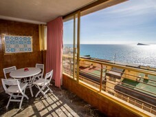 Alquiler Piso Benidorm. Piso de una habitación en armada española 3. Quinta planta con terraza