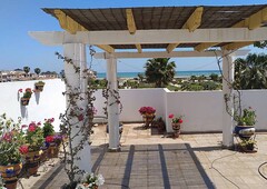 Apartment for rent only 160 meters from the beach