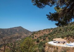 Finca rústica en venta en Sayalonga