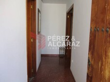 Venta Casa adosada en Calle Plata Palma del Río. Buen estado con terraza 110 m²