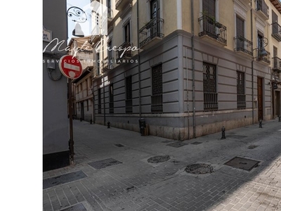 Maravilloso apartamento en el centro de Granada